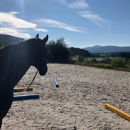 Apartmán Biohof Weiderer