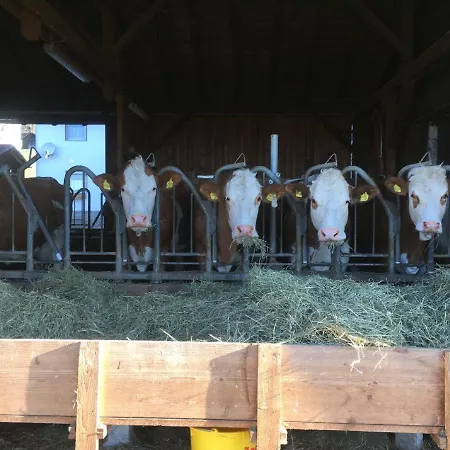 Apartament Biohof Weiderer