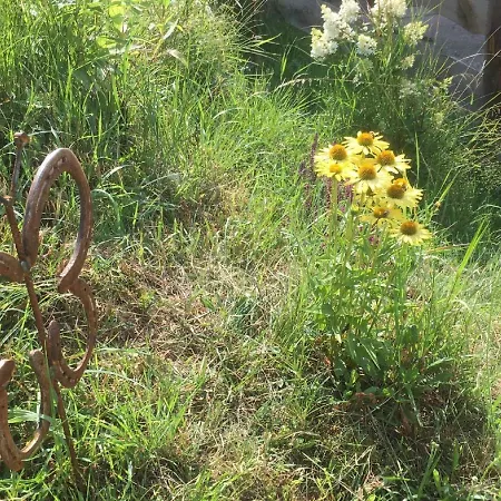 Apartament Biohof Weiderer *